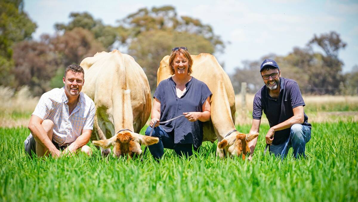 Daniel, Sandra and the late Robert Bacon with some of the quality Brookbora cows. Picture supplied