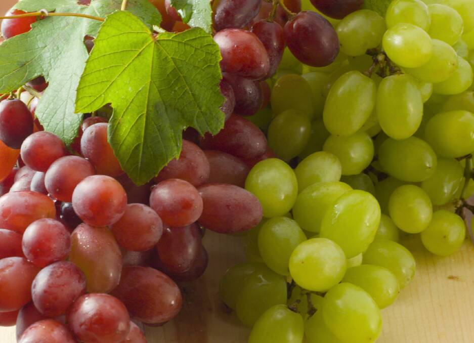 Table grapes continue to achieve solid growth figures in the export market. Picture by Shutterstock