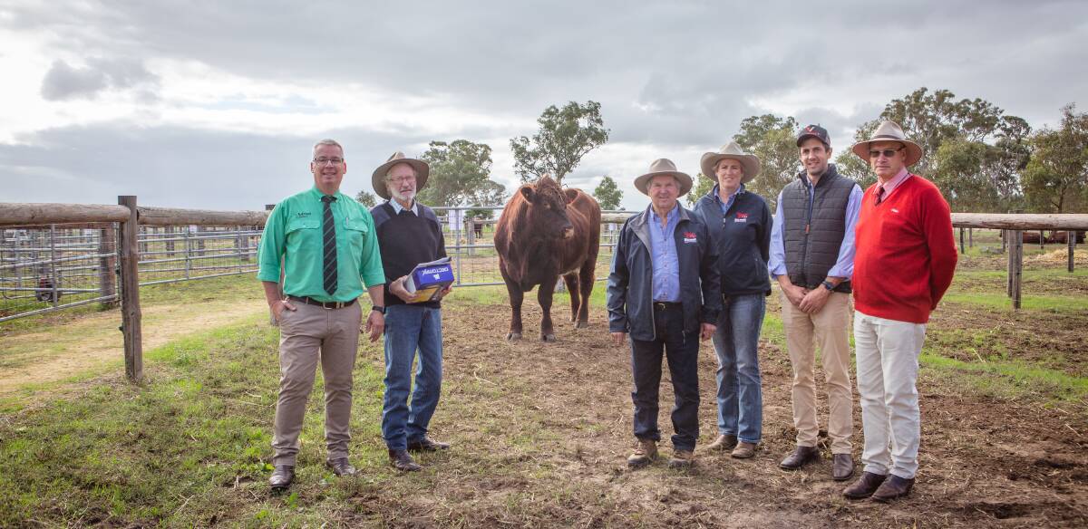 Gordon Wood, Bob Simson, Oxley, Vic, Belmore principals Andy and Sally Withers, Martin Beltrame, Zoetis, Alan Thomson, Elders Naracoorte. Picture by Jacqui Bateman