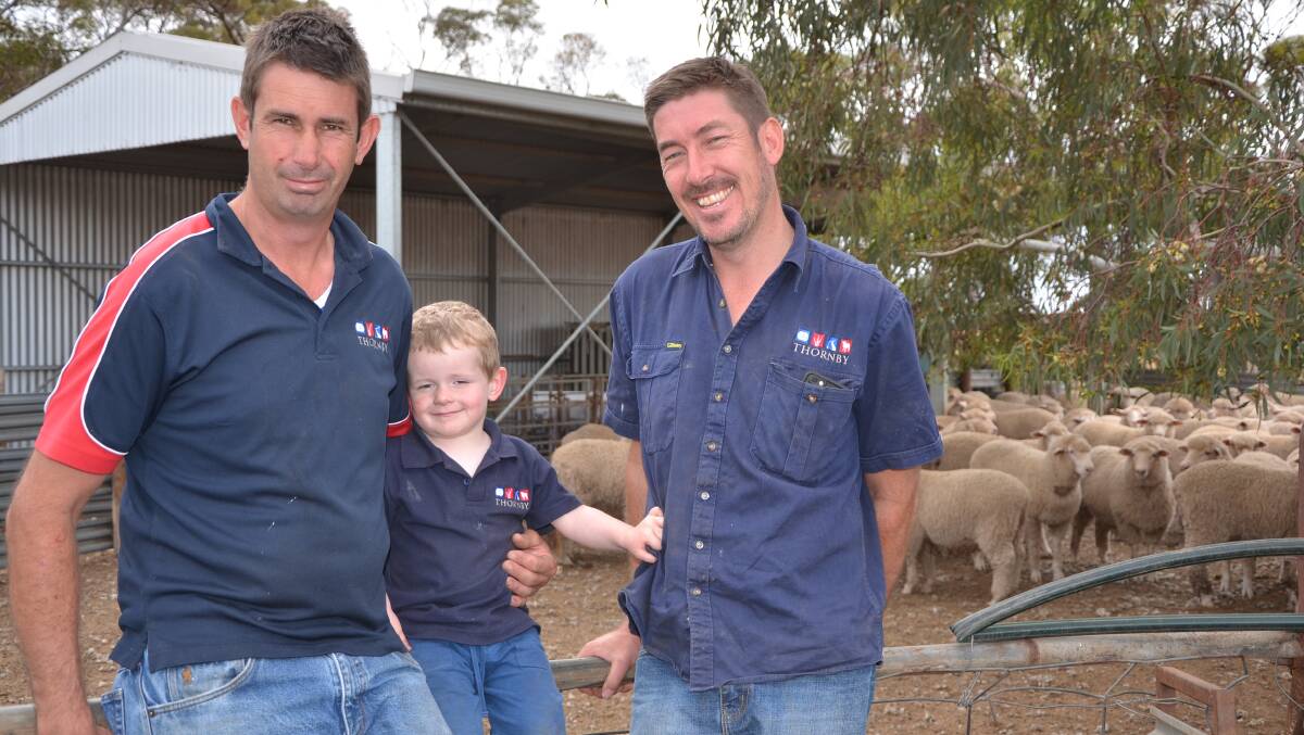 Thornby Premium Lamb's Alex, Oscar and Paul McGorman, Sanderston, have reported an increased demand for their lamb in restaurants.