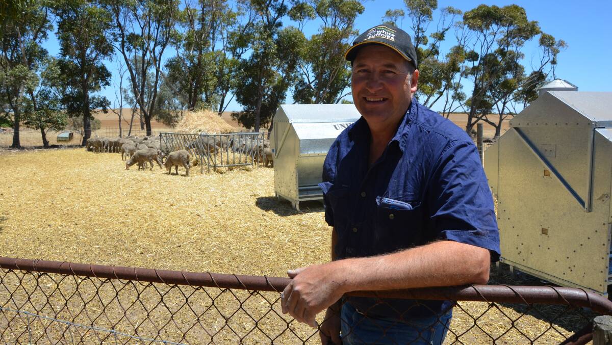 GRAIN GAINS: Mallee lamb producer Philip Smith halved a paddock on-farm to create a two-paddock intensive feeding system to fatten his lambs. 