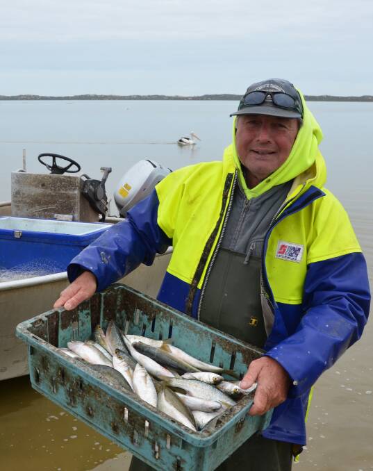 ON THE WATER: SFA presiding chairman and Meningie fisher Garry Hera Singh with a load of fish untouched by seals.