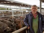 Leigh Kent, Canunda, sold 40 Yerwal-blood Angus steers for an average of $1742. Mr Kent's heaviest draft, 469kg, sold at $1800 or $3.84/kg to Teys Australia, while a lighter draft, 432kg, sold to J&F at $1670 or $3.87/kg. Picture by Jacqui Bateman