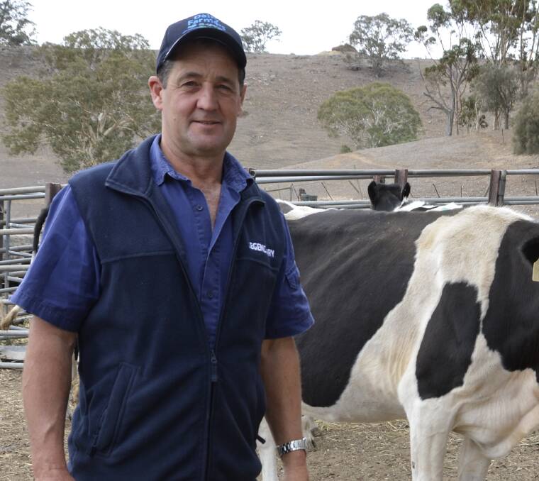 FUTURE UNCERTAIN: Rick Gladigau fears Australia may lose its dairy industry. 