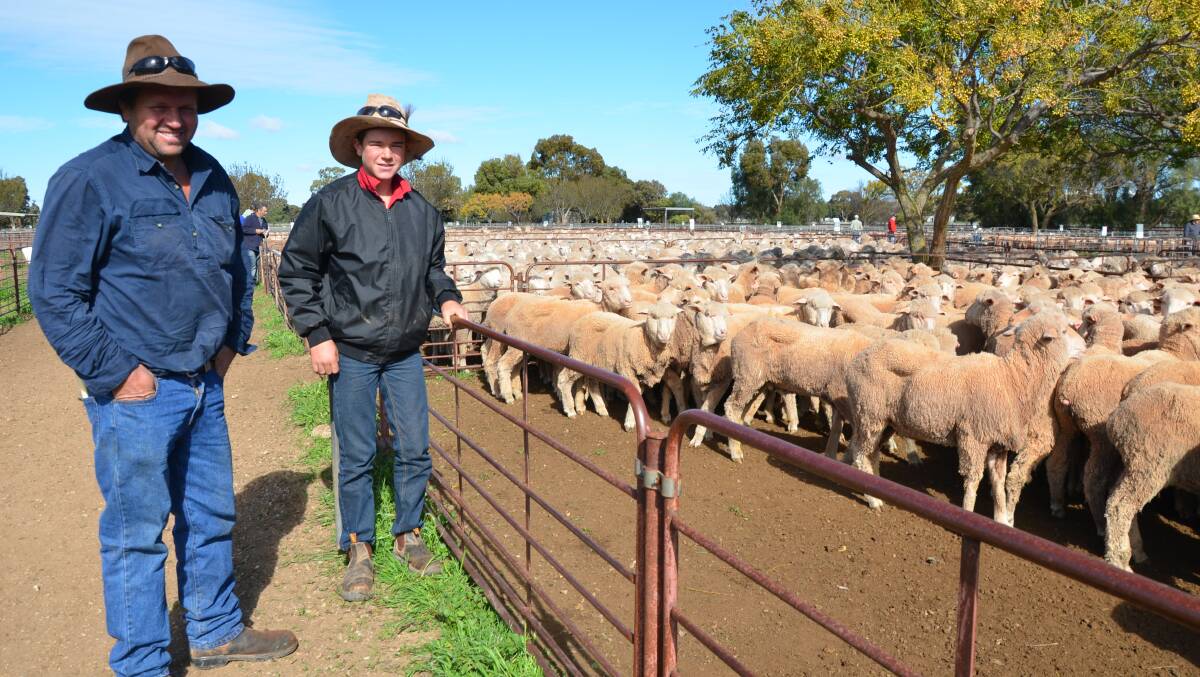 MARKET CHECK: Matt Anderson, and his son Lachy, Cooyerdoo Station, Iron Knob, were keeping an eye on the sheep market at Jamestown in July. 