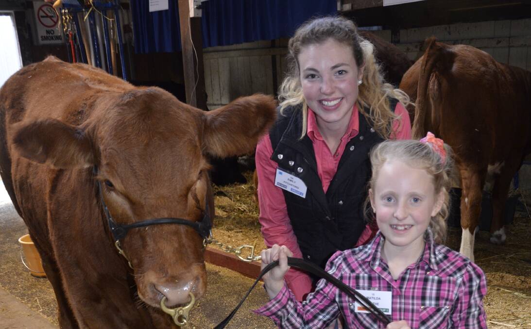 HANDS-ON: Emily Pitchford, Echunga, and Matilda Rothe, Padthaway, with Lucky Charm, from the Rothe family's Tolhverrae Simmental stud, at the SA Junior Heifer Expo this week.