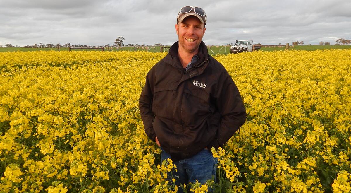 GOLDEN GROWTH: Andrew Bennett, Bendulla, Mundulla, trialled hybrid canola last year and found it performed well considering the bad season.