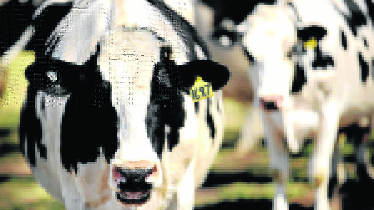 Best dairy operators keep costs in check