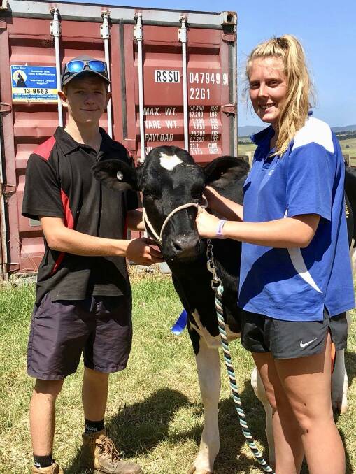 Damian and Brittany Wallis with the first heifer they bought for shared stud Blue Ridge Genetics, Rockstar Diamondback Bambi. Picture supplied