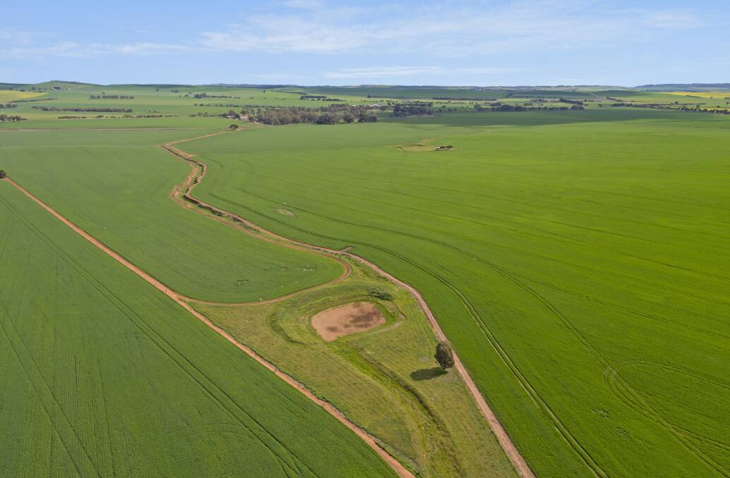 QUALITY: Woodlands Brae is located in arguably one of South Australia's most productive agricultural regions. 