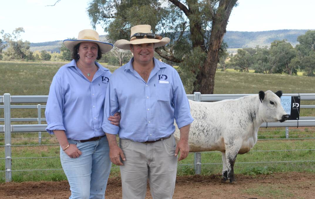 Amy and Justin Dickens in 2021 with their $40,000 Australasian record priced heifer JAD L260 Unique Q33. Picture supplied