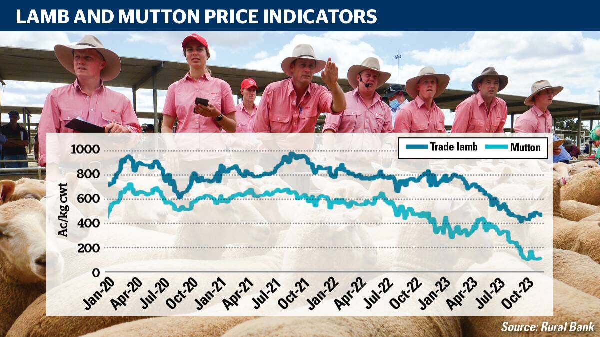 Rural Bank insights data shows how the lamb and mutton price indicators are starting to recover. 