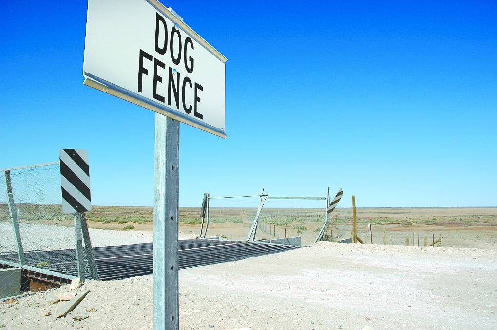 KEEPING WATCH: The Dog Fence is part of a wider wild dog control program aimed at protecting the state's livestock industry.