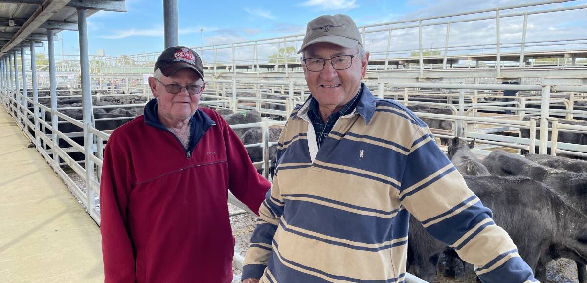 Retired livestock agent Dean Hampel, Victor Harbor, with Jeff McCallum, Willochra, Melrose, who sold 60 Hereford steers and heifers on Friday. 