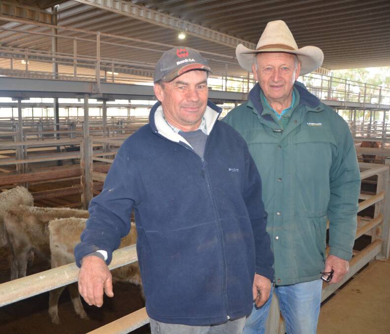 Wild Horse Plains producer Leigh Baker and Nutrien Ag Solutions Balaklava agent Kelly Evans cautiously bought cattle at Dublin this week. Picture by Vanessa Binks. 