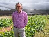 University of Adelaide head of Agriculture, Food, and Wine Professor Jason Able believed the Waite Research Institute had delivered a long-lasting impact on agricultural research in Australia. Photo supplied by University of Adelaide 