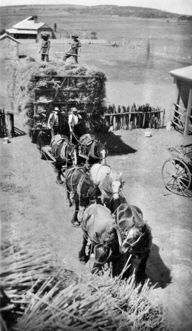 Carting hay at Ingleside in 1928.