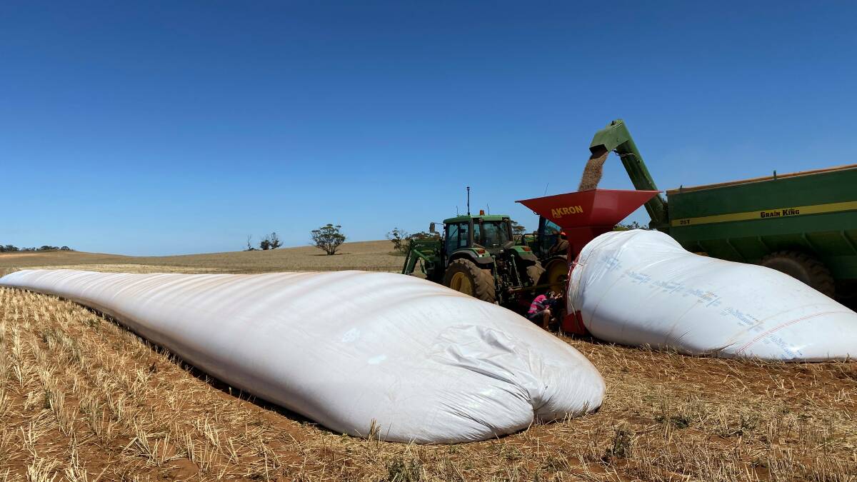 About one million kilograms of silo bags are used on South Australian farms each year, with no reuse or recycling pathway. File picture