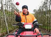 A juicy reward for Hills apple grower