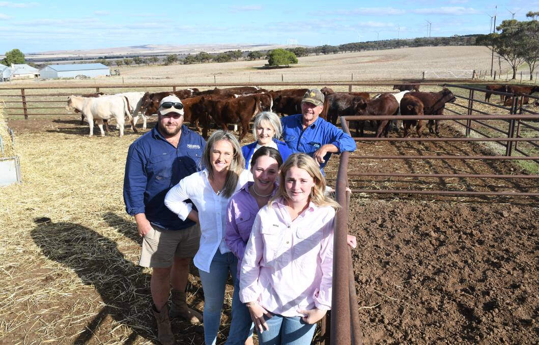 The Inglis family in the yards with some weaned Shorthorn calves at their Merriton property.