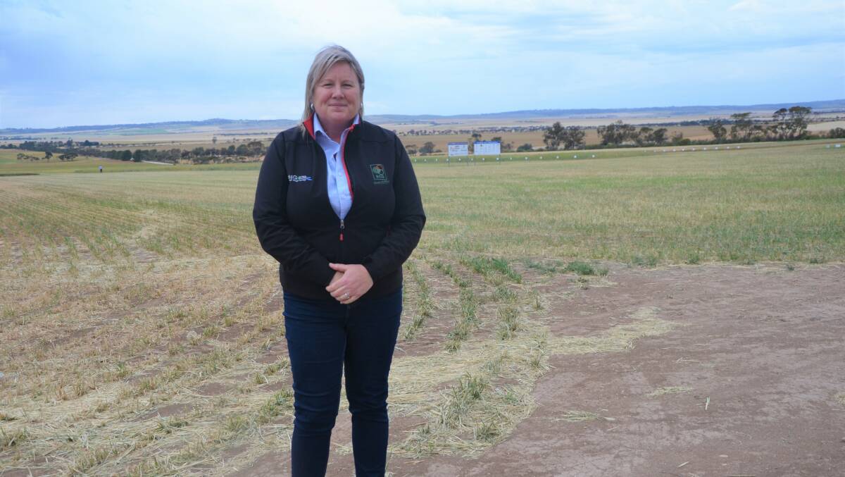 GRAZE AWAY: Stubbles are a valuable feed source if managed effectively according to Birchip Cropping Group livestock systems researcher Alison Frischke.
