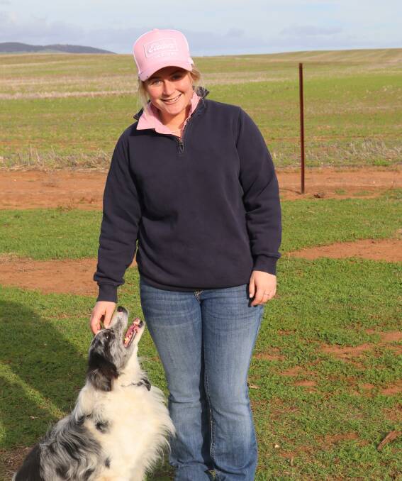 Besides building her Wittalo Poll Merino stud, Sophie Reynolds is also in her fourth year of an Animal Science degree, and runs a sheep pregnancy scanning business. Picture supplied