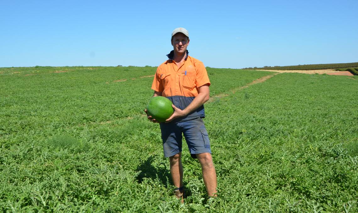 UNDER THE PUMP: Riverland fruit producer Will Swinstead, Overland Corner Estate, is one of the region's many irrigators facing financial and managerial pressure caused by SA's high electricity prices.