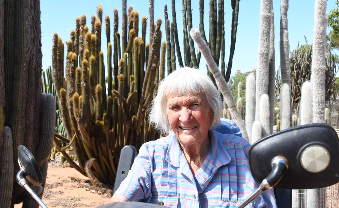 Helen Gray has been growing cacti for more than 50 years and welcomes visitors to her impressive collection near Loxton.