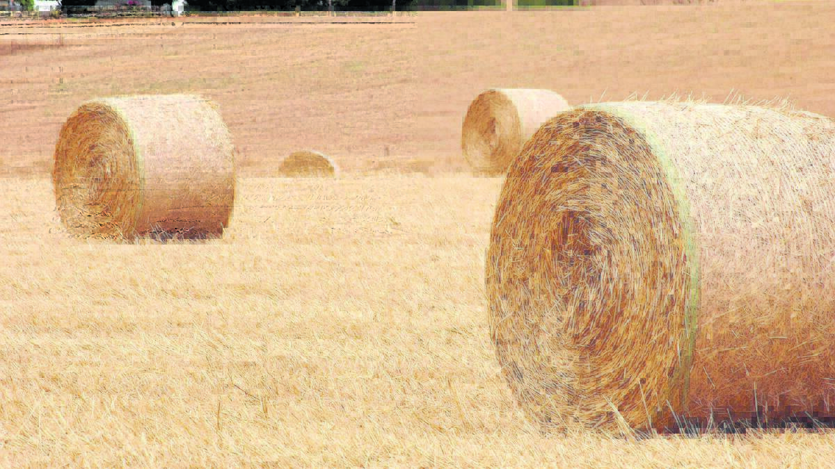 HAY GIVEAWAY: 400 hay bales will be donated to farmers affected by the Pinery fires.