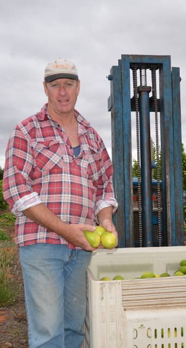 QUALITY CONCERN: Sunlands citrus grower Mark Doecke is required to put his fruit through a cold sterilisation process when exporting to China.