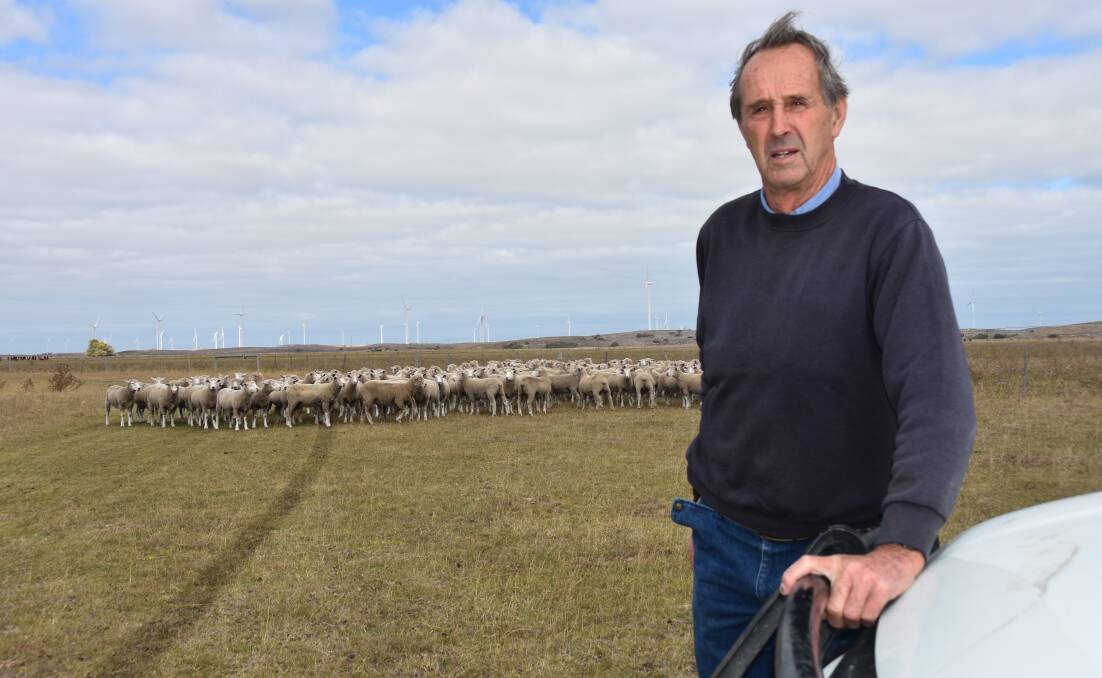 Tantanoola sheep producer Peter Altschwager believes the proportion of the Sheep Industry Fund levy which goes towards the footrot management program is "incredibly cheap insurance" to prevent the disease becoming more prevalent in SA. Picture by Catherine Miller