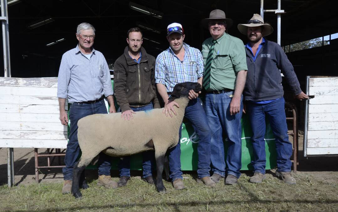 TOP BUY: Gumview stud's David, Joel (centre) and Jesse McCallum (right), with top price Suffolk ram buyer Brodie O'Dea, Orroroo, and Landmark Melrose's Dean Paul.