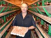 Egg Farmers of Australia SA & Tas director Darren Letton. File picture by Quinton McCallum