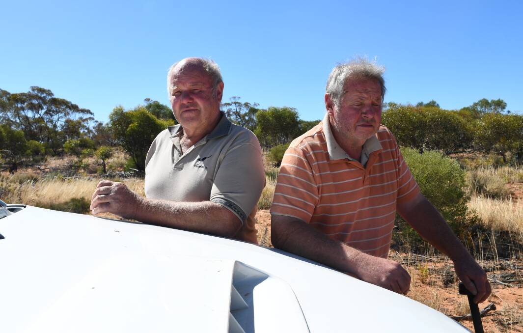 Neville and Kevin Parker on their Maggea property. The brothers have been involved in a dispute on land clearing for decades and hold grave fears for the future of their farm. Picture by Quinton McCallum
