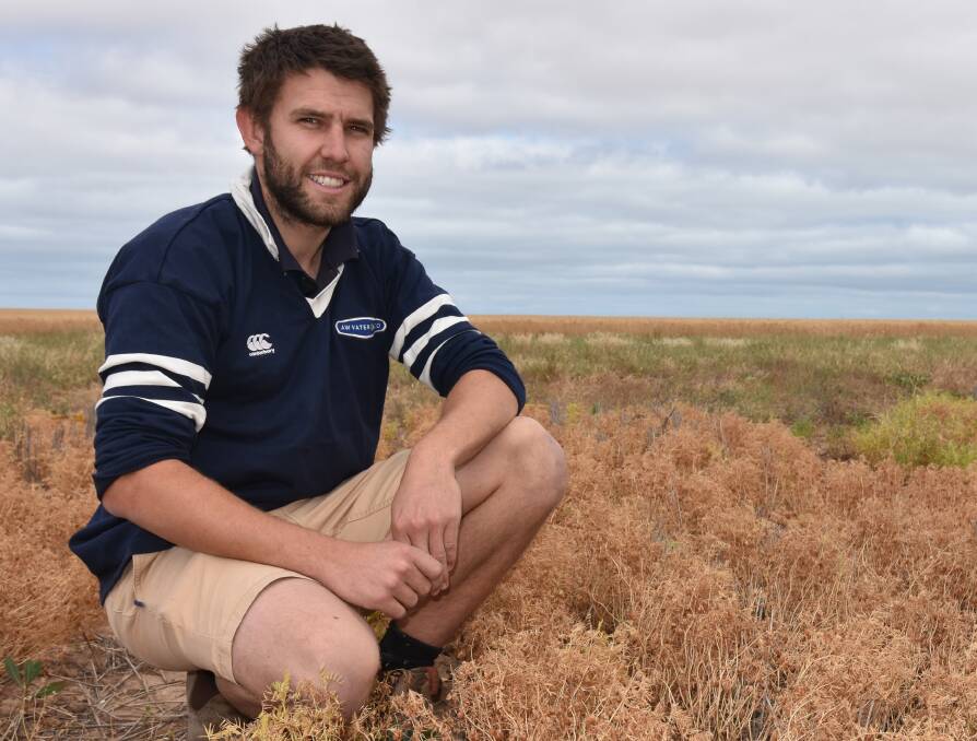 SPRAY ALTERNATIVES: AW Vater and Co agronomist Zack Zweck was involved in trials on the Yorke Peninsula, which identified Sakura as a herbicide that could achieve good weed and grass control in lentils.