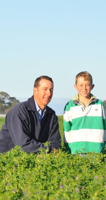 AWARD-WINNING: Cameron Grundy and son Joe in the family's lucerne hay paddock near Naracoorte. Their hay won a national competition run by Feed Central.