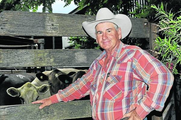 BIG BENEFITS: Contract buyer Chris Hocking says one of the major benefits for producers in the new arrangement among Elders, Landmark and Pro Stock will be the increased competition on their cattle.