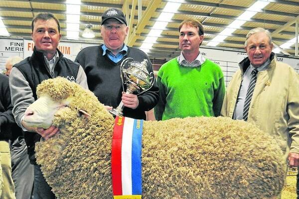 GRAND CHAMP: Grand champion ram of the show went to North Ashrose stud at Gulnare with its champion strong wool Poll Merino. Fox &amp; Lillie Bendigo representative and sponsor Peter Hutchesson (second left) presents the trophy to owners Tom, Matt and Graham Ashby.