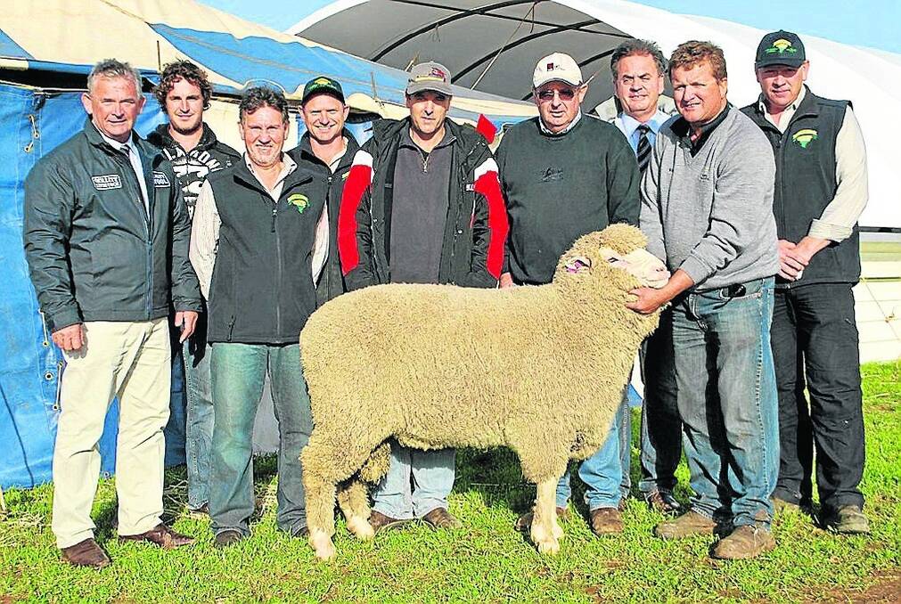 TOP POLL: With the $6000 top-price Poll Merino at the Minta ram sale at Mount Cooper are Quality Livestock auctioneer Peter Arcus; Minta's Jesse Hull; EP Livestock's Mark Bellinger and Henry Zwar; joint buyer Peter Farrow, Wool Bay; Quality Wool local area manager Lawrence Seal; joint buyer Neil Daniell, Wool Bay; Minta principal Mark Hull (holding the ram); and EP Livestock's Richard Hill.