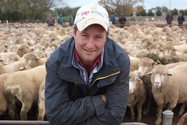 GOOD IDEA: Mid North sheep producer Tom Riggs says he can see the benefits of Jamestown being opened up to independent agents.