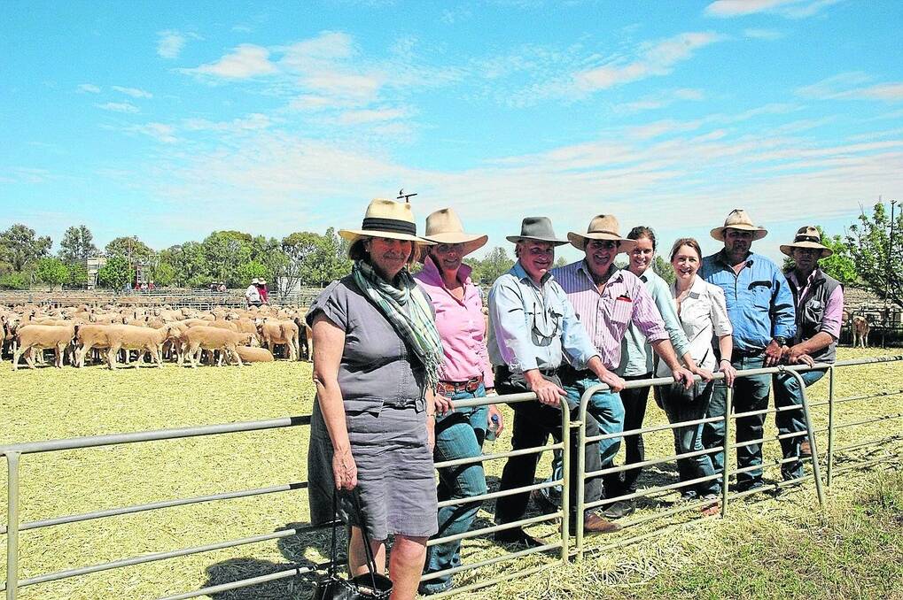 MARKET LEADERS: Mutooroo Pastoral Company sold nearly 6000 sheep from its Mutooroo, Mulyungarie and Lilydale properties at Yelta off-shears sale. Connections Deborah Boylen, Alex Morgan, William Morgan, Mutooroo managing director James Morgan, Charlotte Boylen, Maxine Loewenthal, Mutooroo manager Adam Lomman, and Lilydale manager Todd Noakes watch the action.