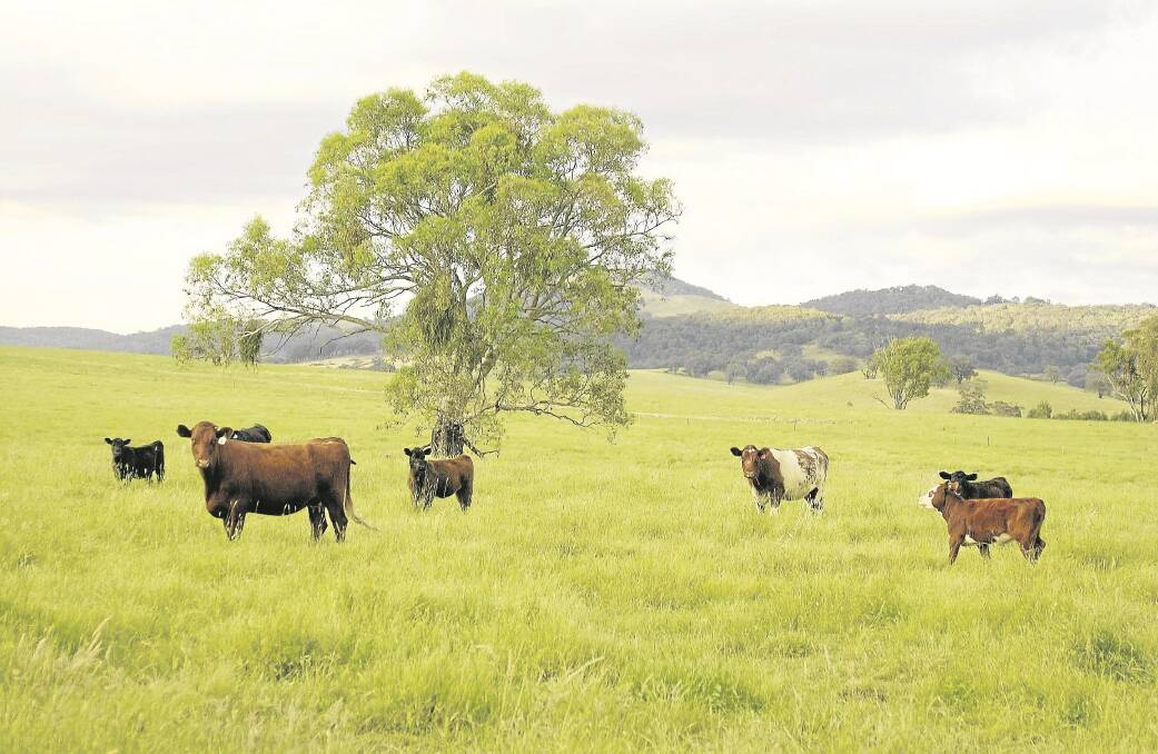 Buoyant livestock prices and low interest rates have helped create a strong start to the spring property selling season.