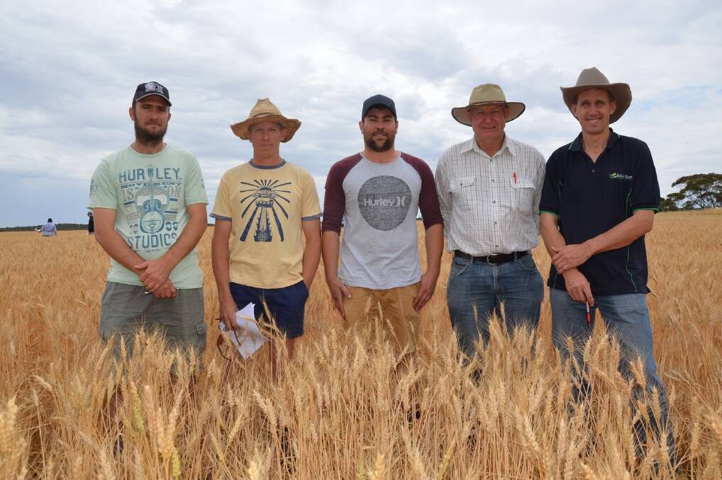 Mallee Sustainable Farming crop competition entrants in the winning Gladius wheat crop grown by the Singh family at Alawoona.