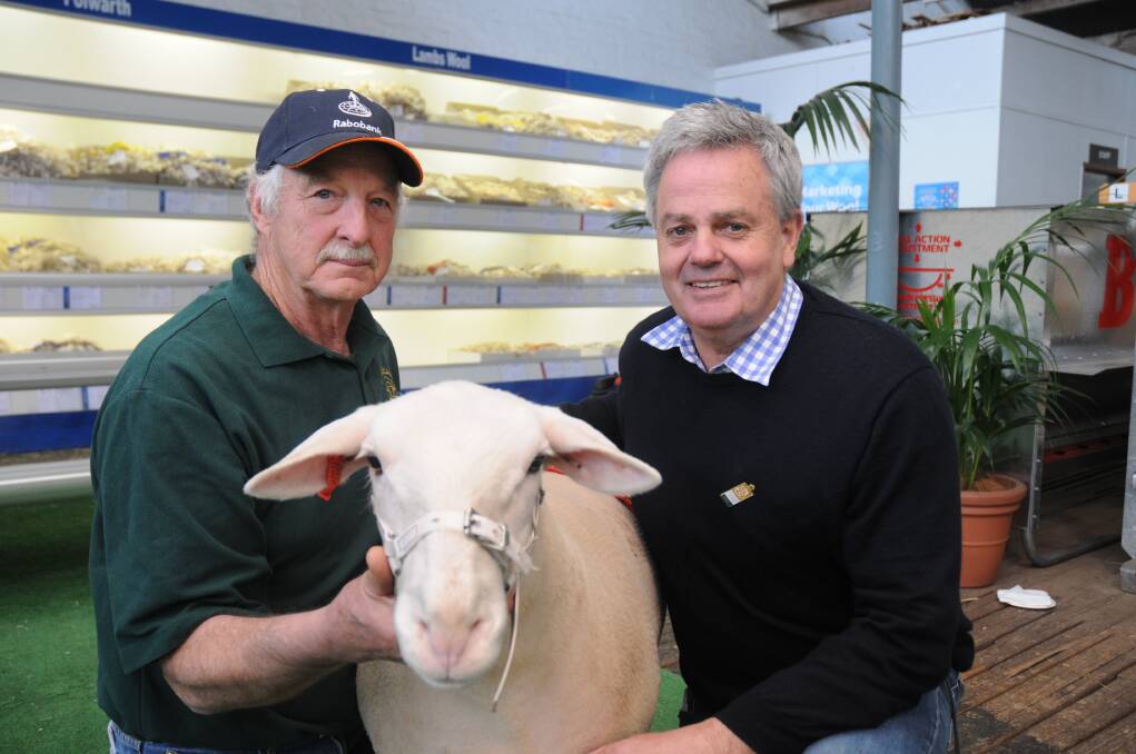 Wheetelande's Bob Neill and buyer Duncan Young, Oakwood White Suffolks with the $4750 ewe which set a national record at the Royal Adelaide Show.