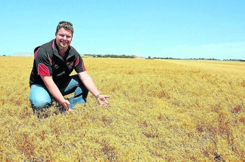 AGT Foods Australia acquisition manager for SA Leigh Wright in a lentil paddock at Bowmans. He says the good prices mean farmers are likely to sell most of their grain at harvest rather than hold on to their product.