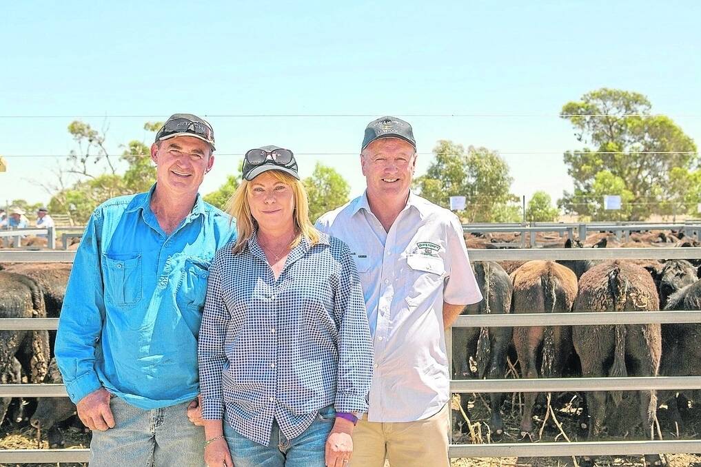 John and Paula Kilgariff, Kilgariff Cattle Co, and Chay & Merrett’s Owen Merrett, Millicent, bought 221 PCAS-accredited Angus steers, av $1070, for their Bray property, including a draft of 109 February/April-drop steers from Amherst.