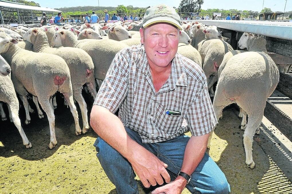Tim Widdison, Melecca Farms, Tarpeena, bought the $286 sale-topping ewes from Coolawang Pastoral Company, Mundulla. It was the third year in a row he bought the tops of the Coolawang draft, impressed by the performance of the bloodlines.