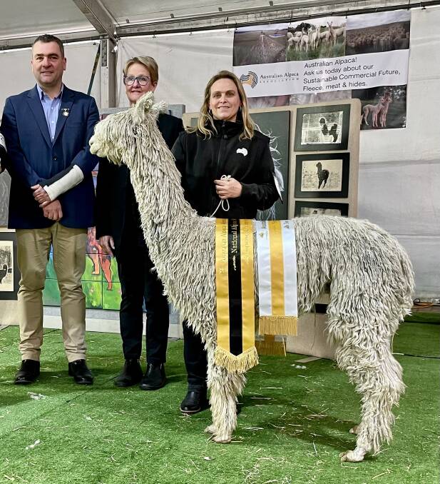 Alpaca National Show supreme won by SA breeder Stock Journal SA