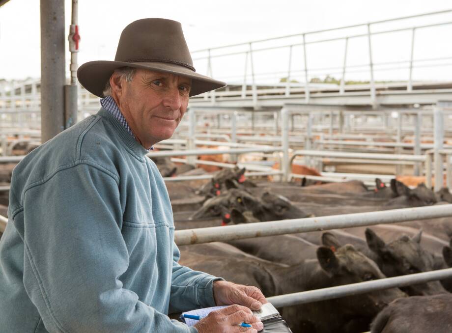 PICK: Teys Australia's Dave Woolard bought 193 cattle for an av of $1234 including sale toppers, 26 Angus steers, 467kg, at $1470 or $3.14/kg, sold by Kilgariff Cattle Co.