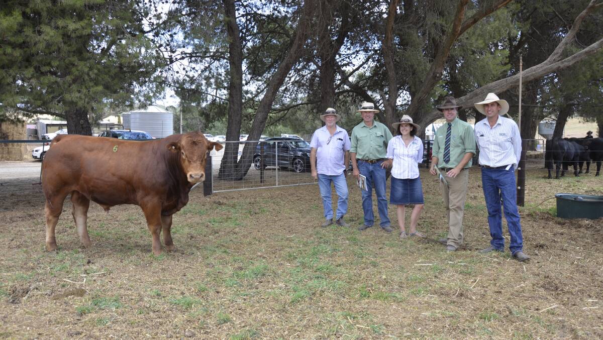 Buyer of the joint top price bull at Maryvale Limousin Grant Blackwell, Milang, Landmark Strathalbyn's Richard Snoswell, Maryvale's Tess Vogt, Landmark stud stock's Richard Miller and Maryvale's Matt Vogt.